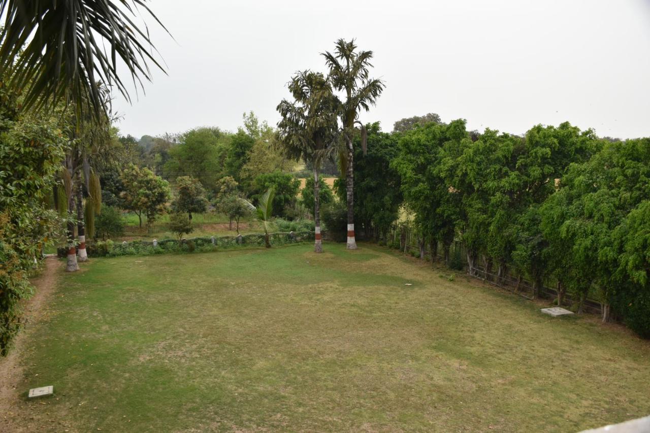 קג'ורהו Greenwood Hotel מראה חיצוני תמונה